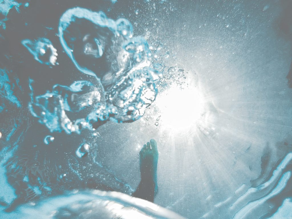 【日々のあわ】2018年8月のこと