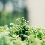 【日々のあわ】2019年5月のこと｜フリースタイル再燃