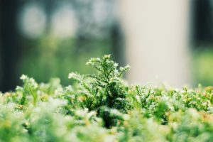 【日々のあわ】2019年5月のこと|フリースタイル再燃