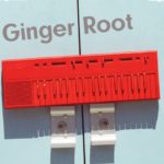 Ginger Root | ベッドルーム・ポップ×ソウルの甘美な時間