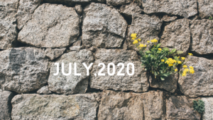 【日々のあわ】2020年7月のこと